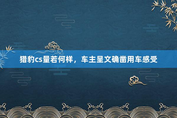 猎豹cs量若何样，车主呈文确凿用车感受
