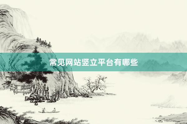 常见网站竖立平台有哪些