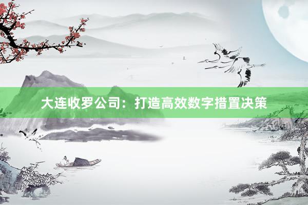大连收罗公司：打造高效数字措置决策