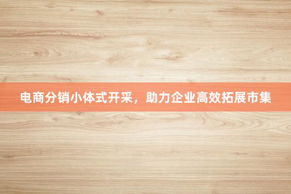 电商分销小体式开采，助力企业高效拓展市集