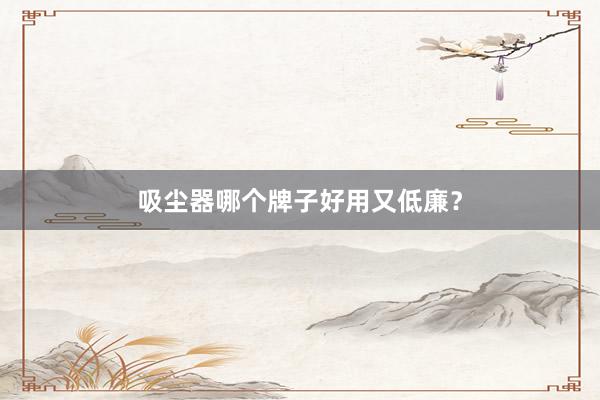 吸尘器哪个牌子好用又低廉？